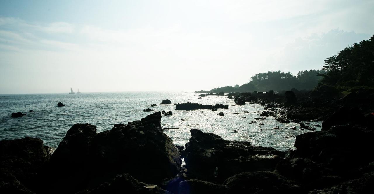Bowhill & ソギポ