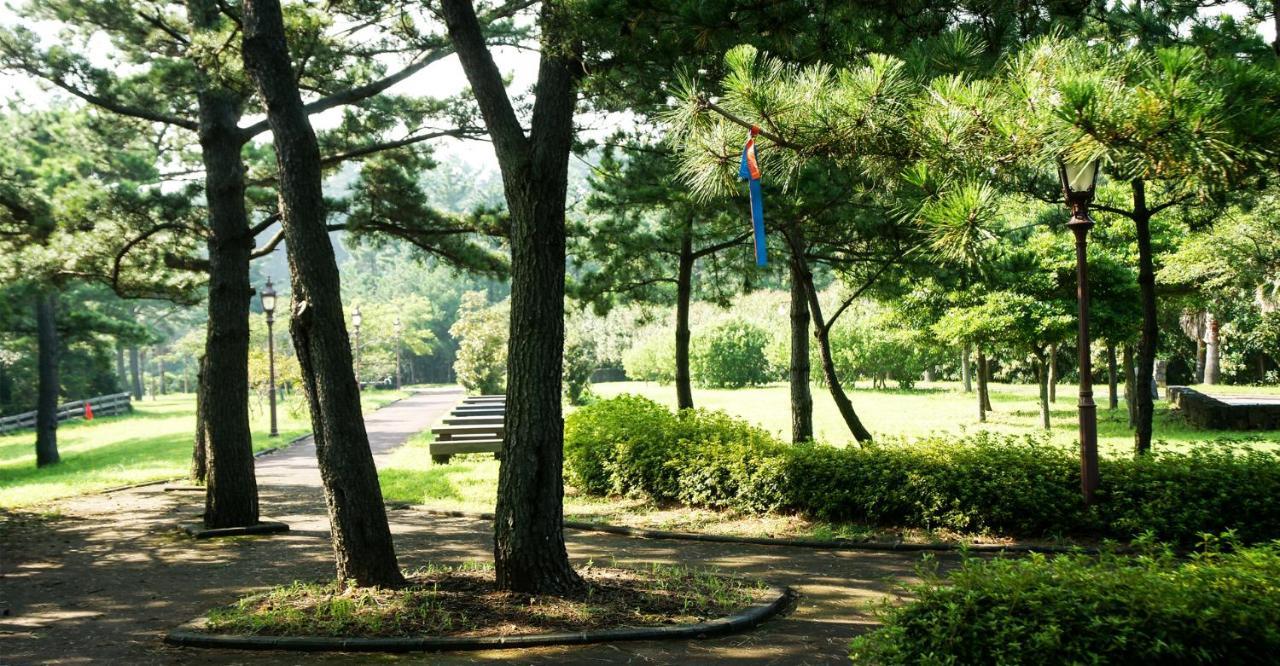 Bowhill & 別荘 ソギポ